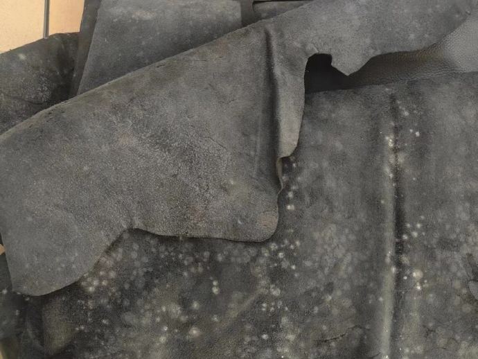 發霉的皮革